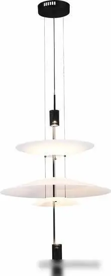 Подвесная люстра ST Luce SL6101.413.01 – фото товара
