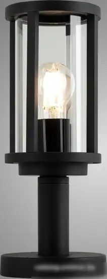 Arte Lamp A1036FN-1BK – фото товара