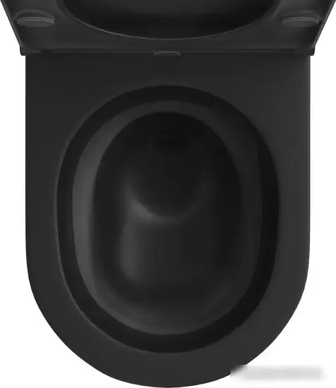 Унитаз подвесной Wellsee Chalice Perfection RimFree 182609001 (чаша, пневмокрышка, матовый черный) - фото товара