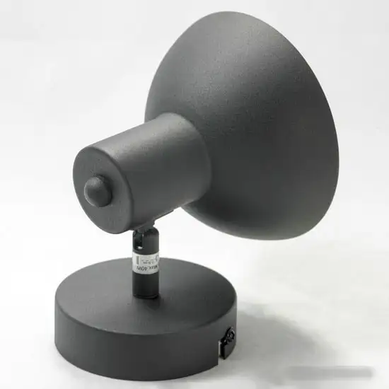 Спот Lussole Loft LSP-9973 – фото товара