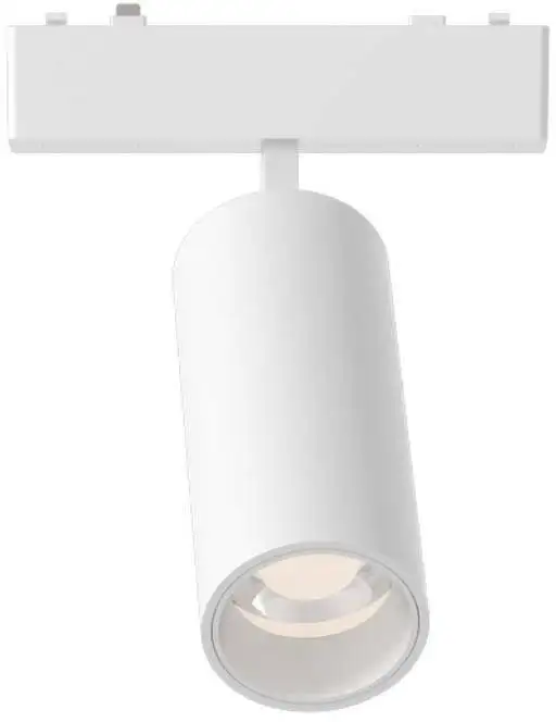 Трековый светильник Aployt Magnetic Track 48 APL.0113.10.09 – фото товара