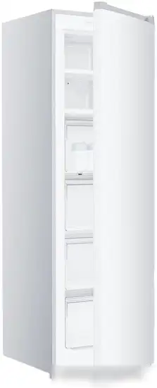 Морозильник TECHNO FN1-24 - фото товара