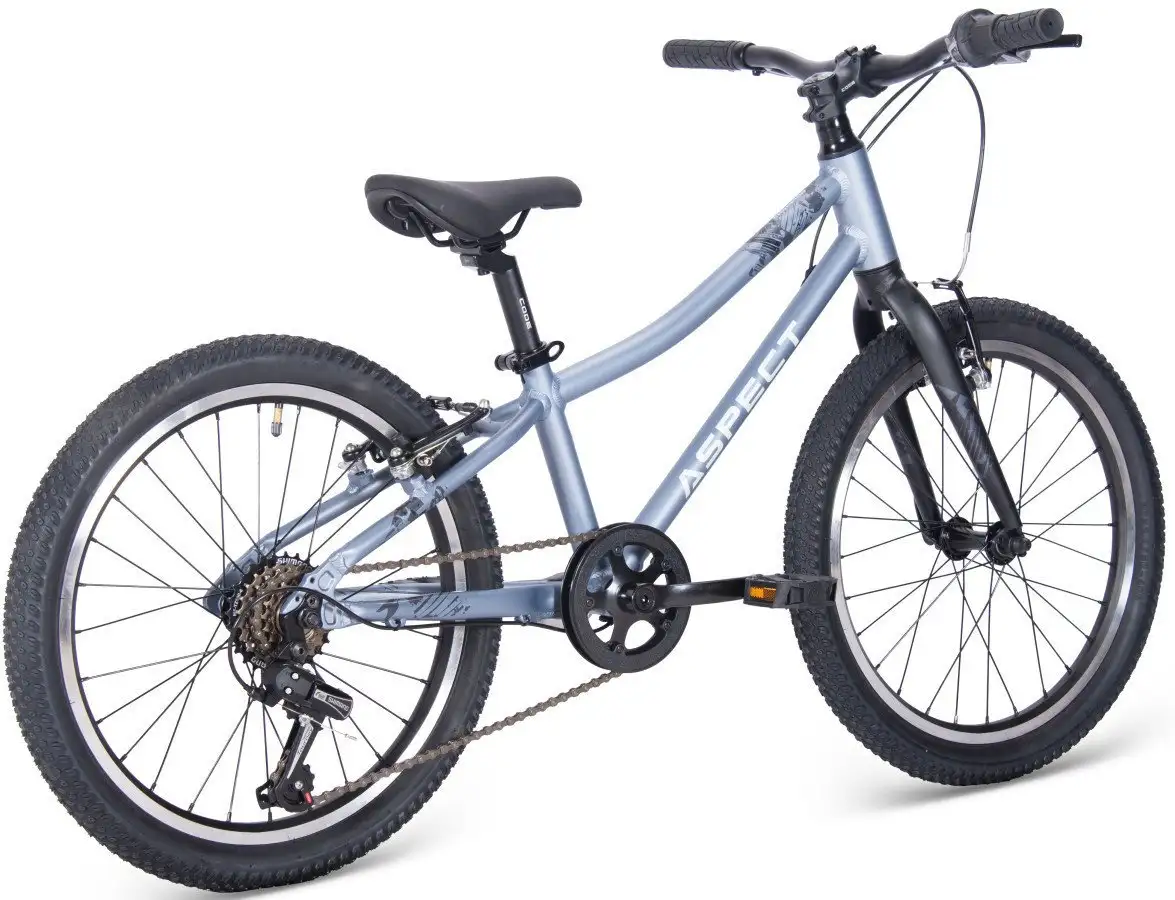 Детский велосипед Aspect Champion 20 2025 (серый) – фото товара