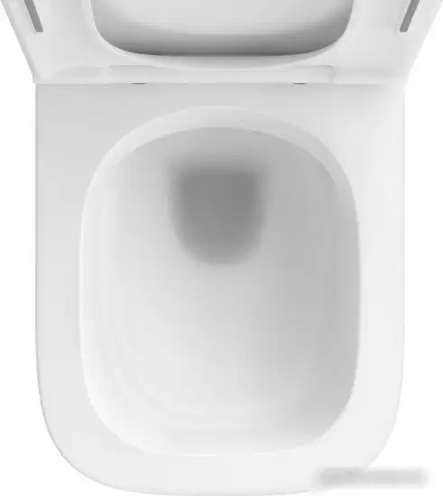 Унитаз подвесной Wellsee Pure BY Wellsee RimFree 182603001 (чаша, пневмокрышка, матовый белый) - фото товара