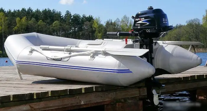Лодочный мотор Parsun F2.6 BMS – фото товара