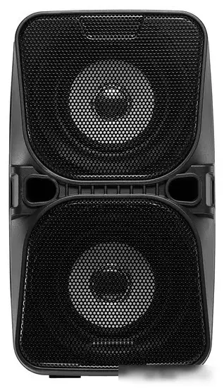 Беспроводная колонка Digma D-PS1505 – фото товара