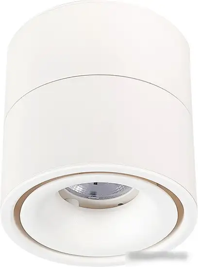 Припотолочная люстра ST Luce ST652 ST652.542.12 – фото товара