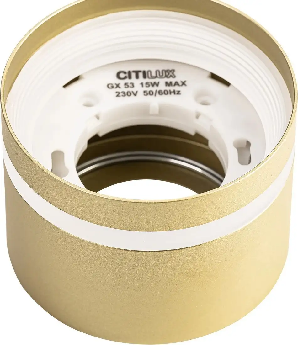 Припотолочная люстра Citilux Hardy CL002C12 – фото товара