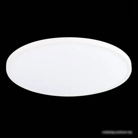 Точечный светильник ST Luce ST601.532.48 – фото товара