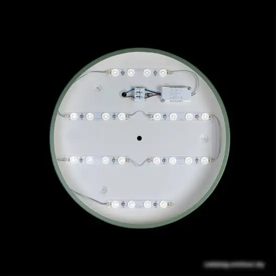 Люстра-тарелка LOFT IT Axel 10003/24 Green – фото товара