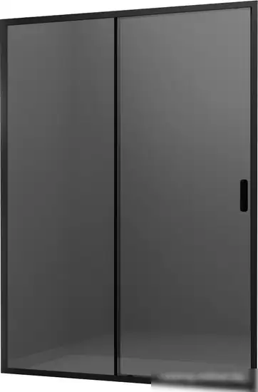 Душевая дверь Ambassador Forsa 100x200 17022216ABB