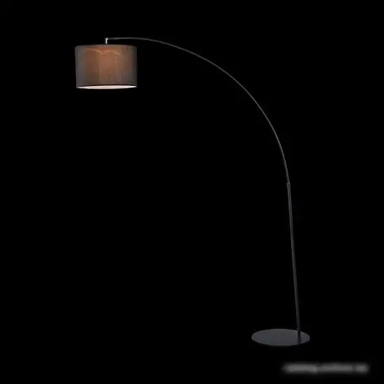 Торшер Maytoni Nevada Z328-FL-01-B – фото товара