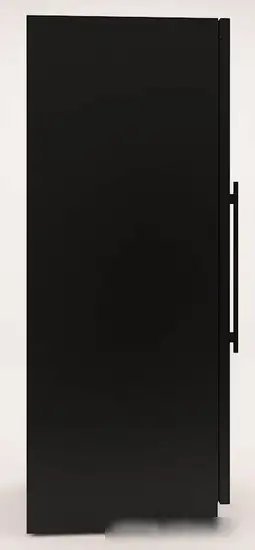 Винный шкаф Dunavox DX-166.428DBK — фото товара