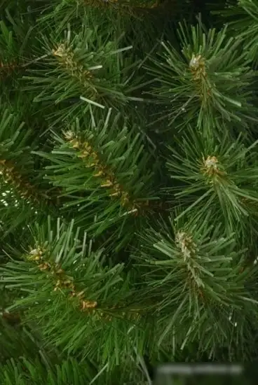 Ель Erbis Jodla Slim 2.2 м – фото товара