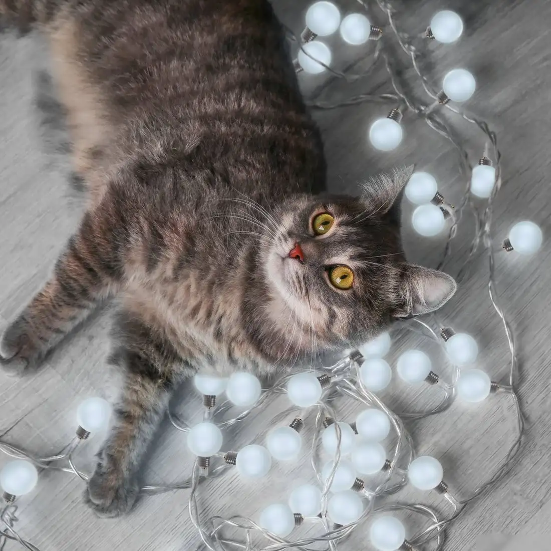 Новогодняя гирлянда Gauss Solar GS033 – фото товара