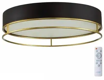 Припотолочная люстра Sonex Lofty 7723/100L – изображение в каталоге