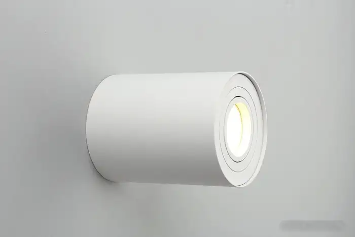 Спот Omnilux OML-101009-01 – фото товара