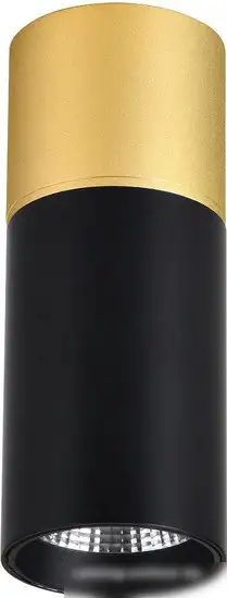 Точечный светильник Favourite 3074-1C – фото товара