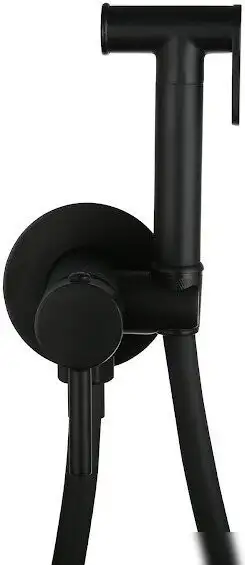 Гигиенический душ Roxen Santi 50094000-B - фото товара