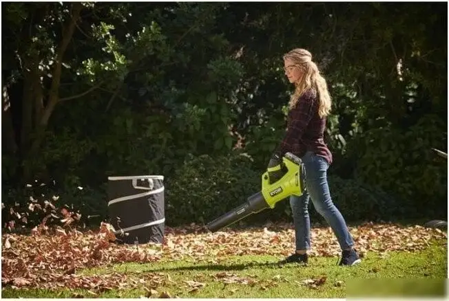 Ручная воздуходувка Ryobi RY18BLXD-150 5133005952 (с 1-им АКБ) – фото товара