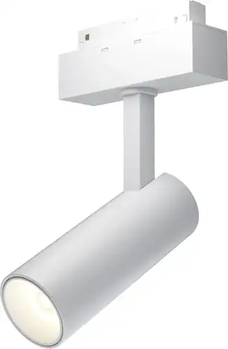 Точечный светильник Maytoni TR019-2-10W3K-W – изображение в каталоге