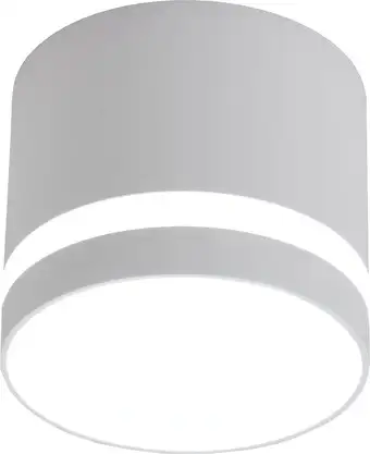 Точечный светильник TruEnergy 21015 – изображение в каталоге