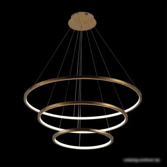 Подвесная люстра LOFT IT Ring 10015/3 – фото товара