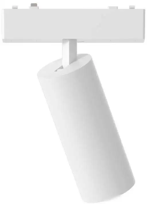 Трековый светильник Aployt Magnetic Track 48 APL.0113.10.09 – фото товара