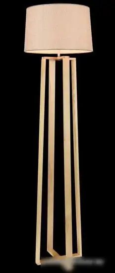 Торшер Freya Nubi FR5134-FL-01-BG – фото товара