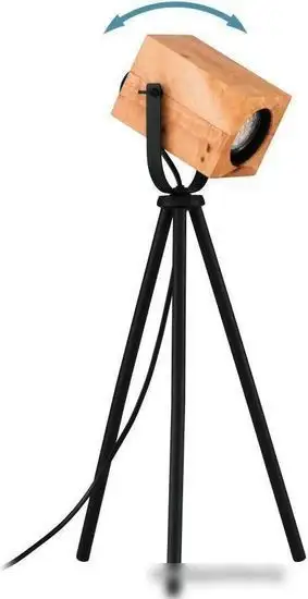 Настольная лампа Eglo Ayles 43749