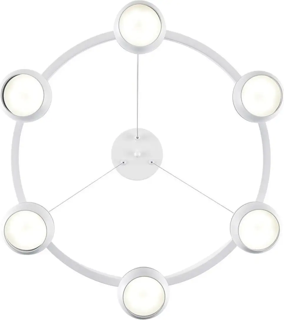 Подвесная люстра Lumion Luazana 8254/6 – фото товара