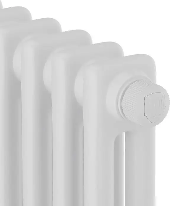 Royal Thermo Insignia C2180 - 12 секций RAL9016 - фото товара