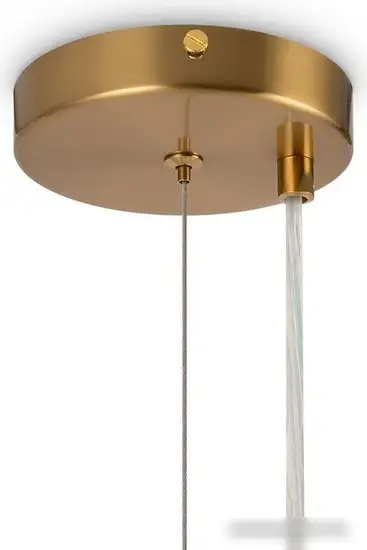 Подвесная люстра Freya Zing FR5199PL-08BS1 – фото товара