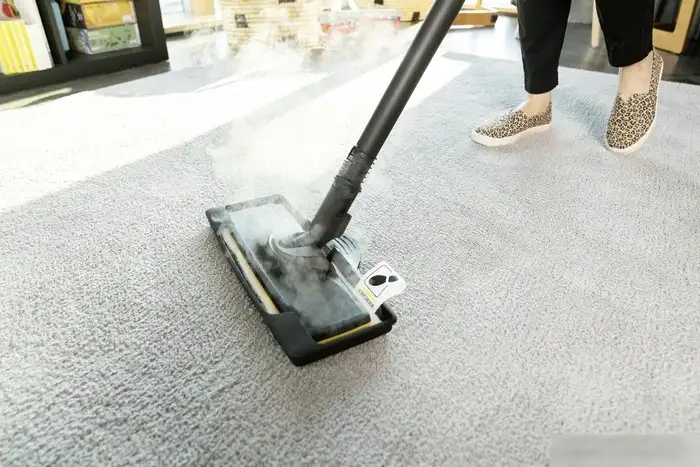 Пароочиститель Karcher SC 3 EasyFix Plus 1.513-661.0 - фото товара