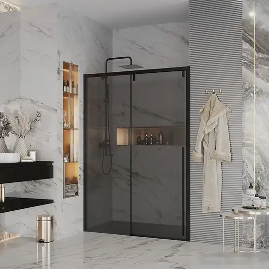 Душевая дверь Ambassador Intense 160x200 110022205IBB - фото товара