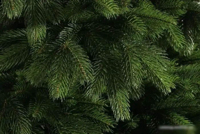 Ель Царь Елка Беверли 1.5 м – фото товара