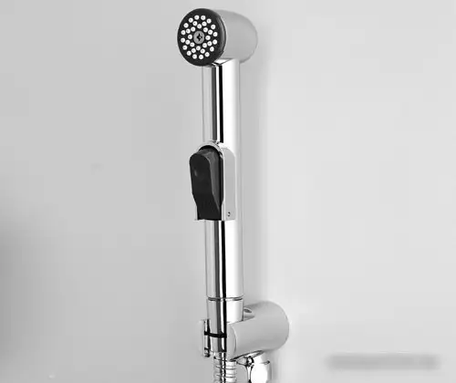 Душевая лейка Wasserkraft A043 - фото товара