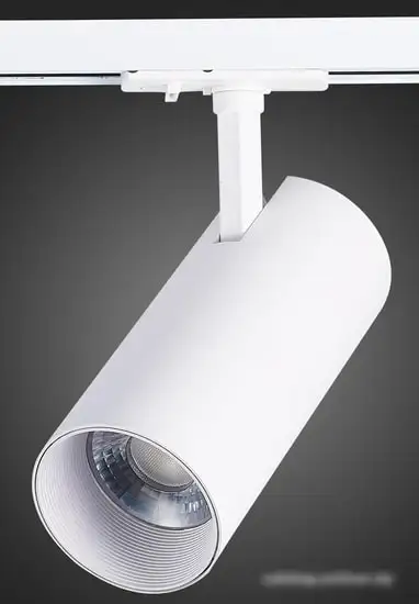 Трековый светильник ST Luce Mono ST350.536.30.24 – фото товара