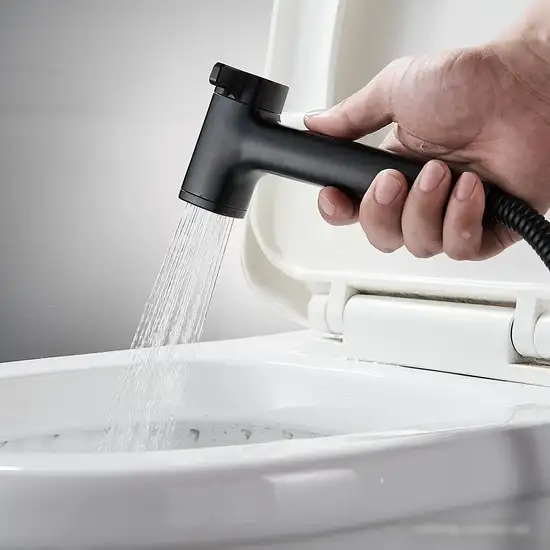 Гигиенический душ Rose R2805H-1 - фото товара