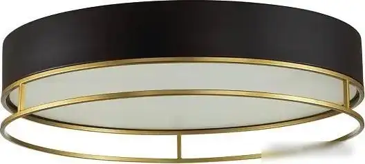 Припотолочная люстра Sonex Lofty 7723/65L