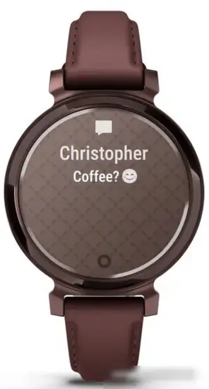 Умные часы Garmin Lily 2 Classic (темная бронза/шелковица) – фото товара