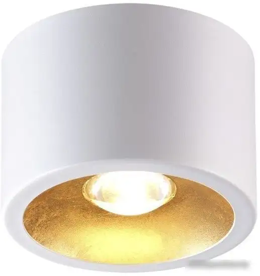 Точечный светильник Odeon Light Glasgow 6668/1CL – фото товара