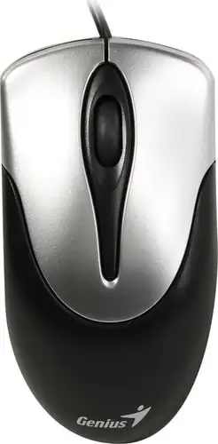 Мышь Genius NetScroll 100 V2 (черный/серебристый)