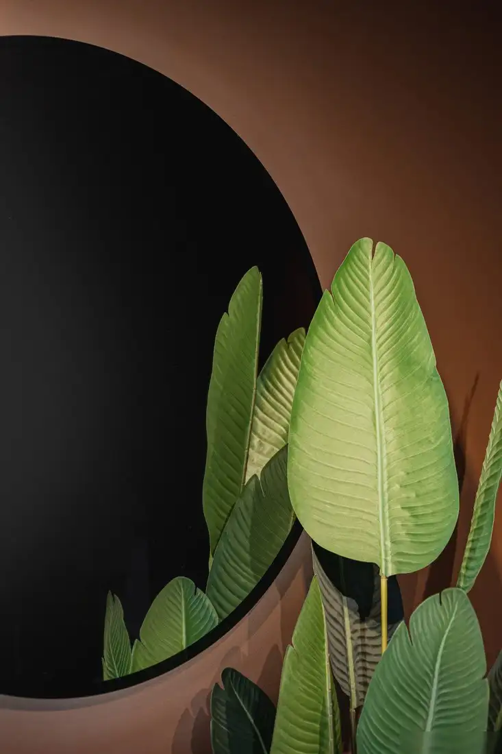 Silver Mirrors Зеркало Monaco Black D1000 LED-00002769 – фото товара