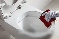 Унитаз подвесной SSWW CT2039V NC4477 - фото товара