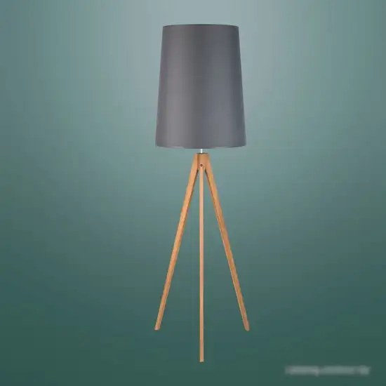 Торшер TK Lighting Walz 5046 – фото товара