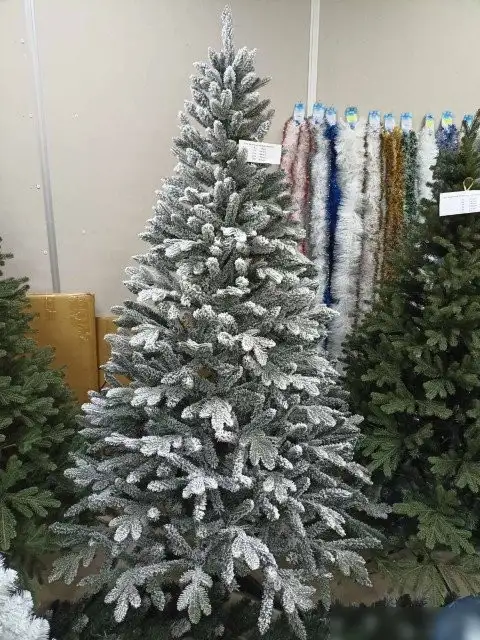 Ель Maxy Poland Платиновая заснеженная с литыми ветками (3м)