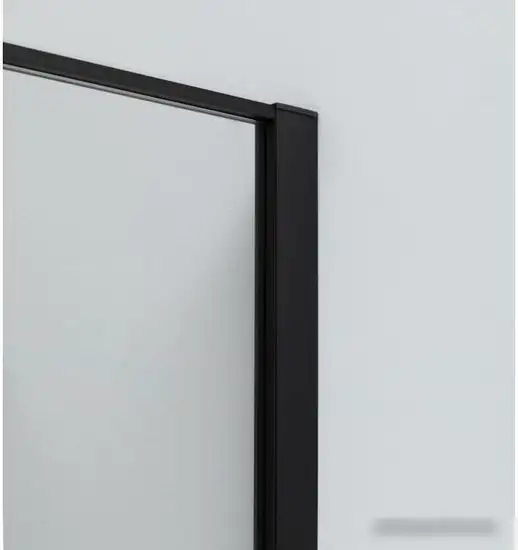 Душевая дверь Allen Brau Priority 3.31033.BBA 294062 (черный браш) - фото товара