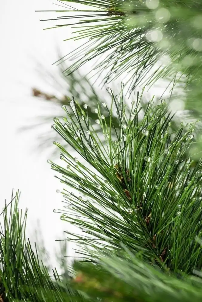 Ель Winter Fun Drop SZ810-210 2.1 м – фото товара