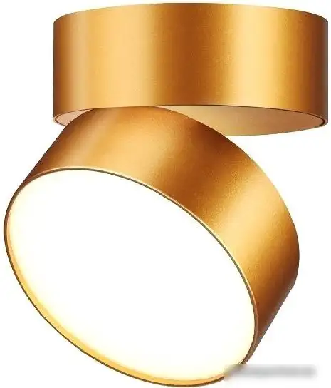 Точечный светильник Novotech Prometa 358751 – фото товара